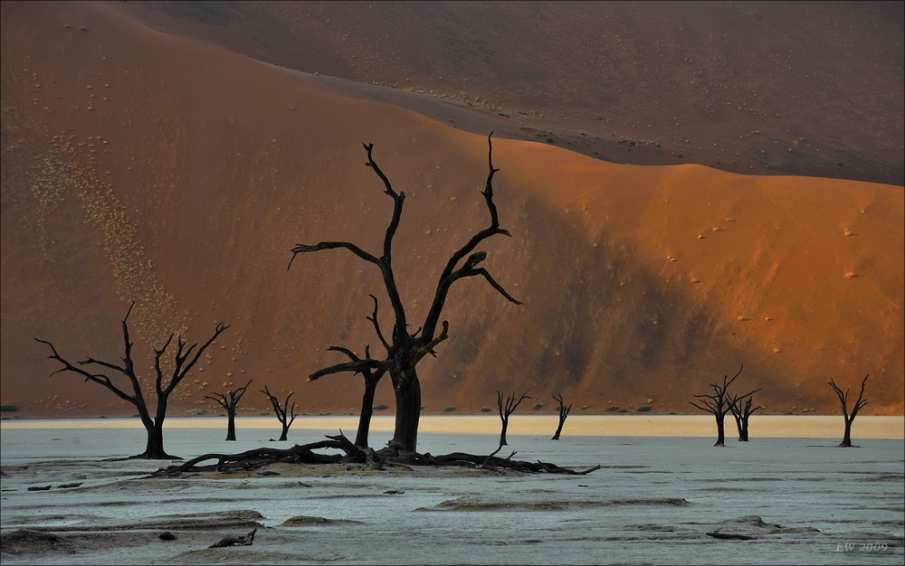 comp Namibia 09 01842