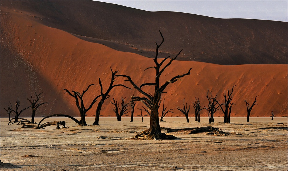 comp Namibia 09 01942b