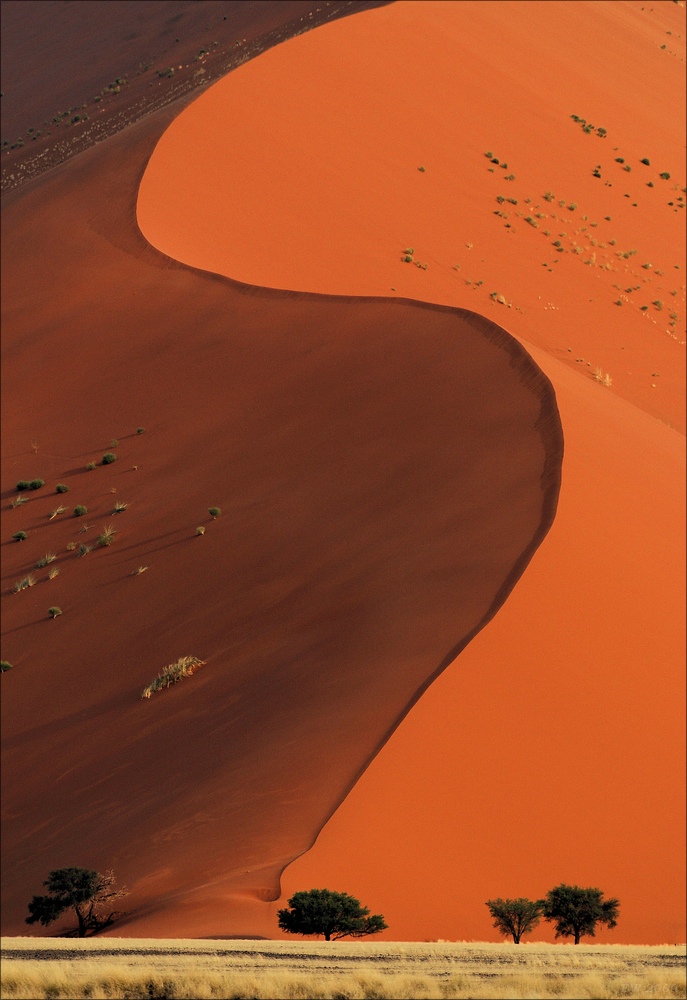 comp Namibia 09 02398a