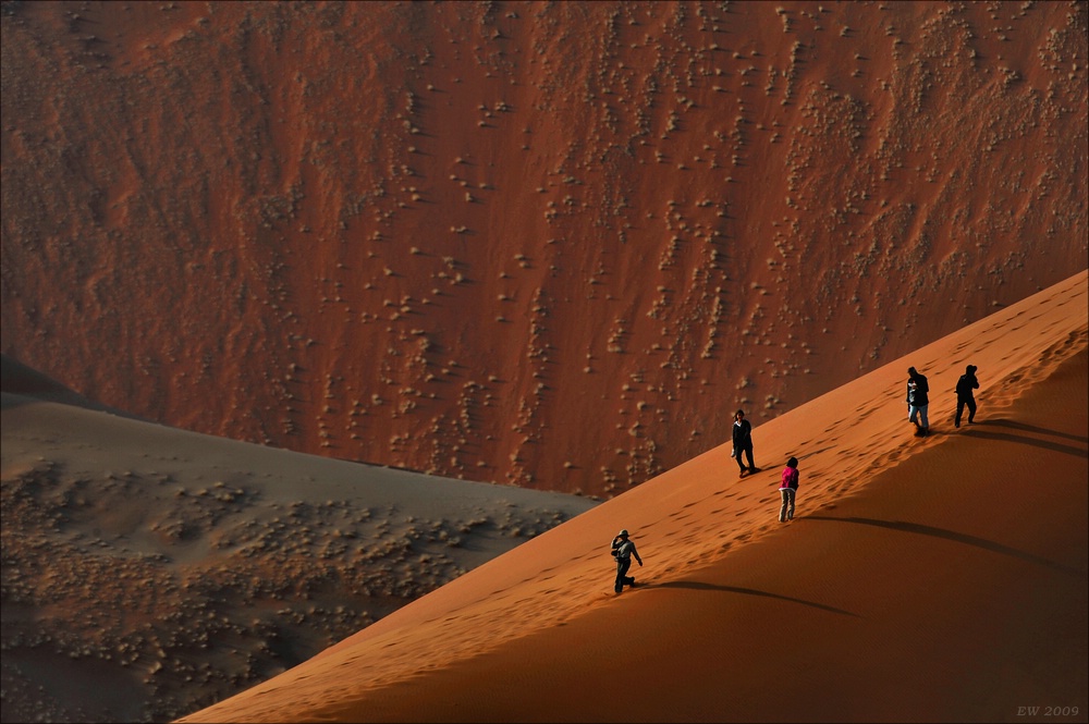 comp Namibia 09 03552