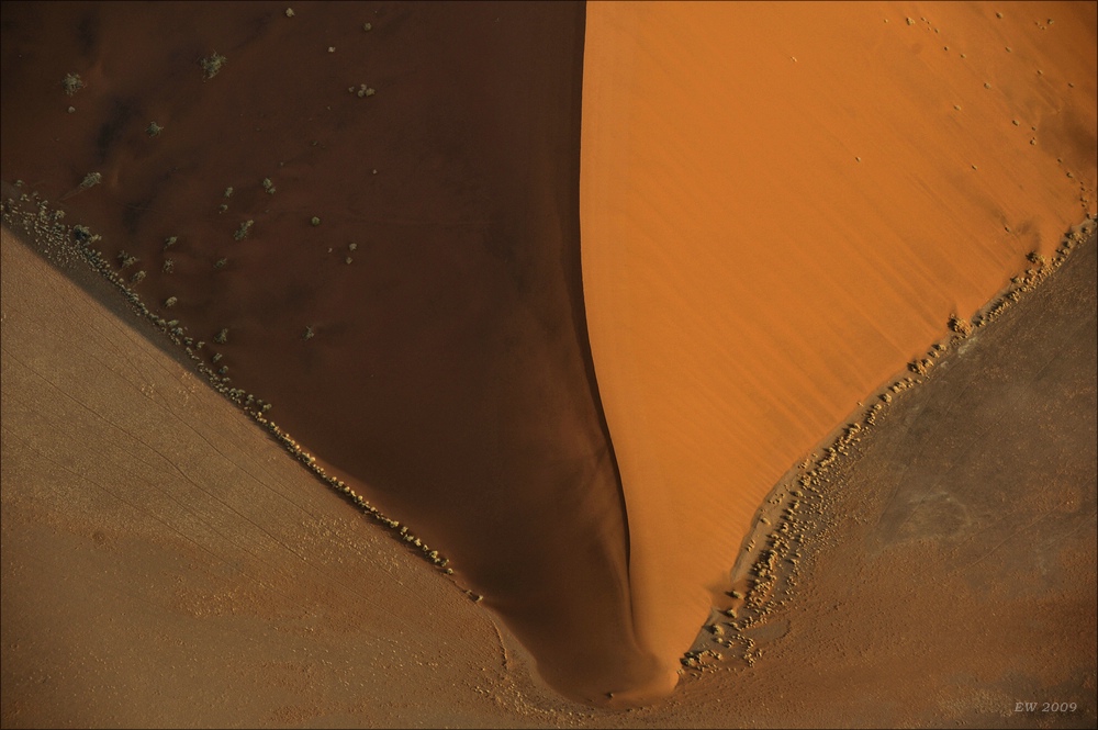 comp Namibia 09 04889