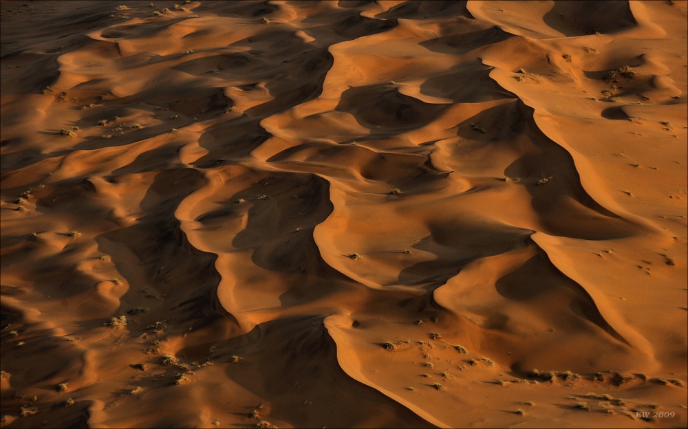 comp Namibia 09 04999