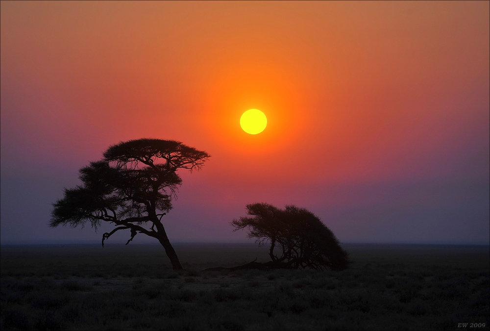 comp Namibia 09 16485
