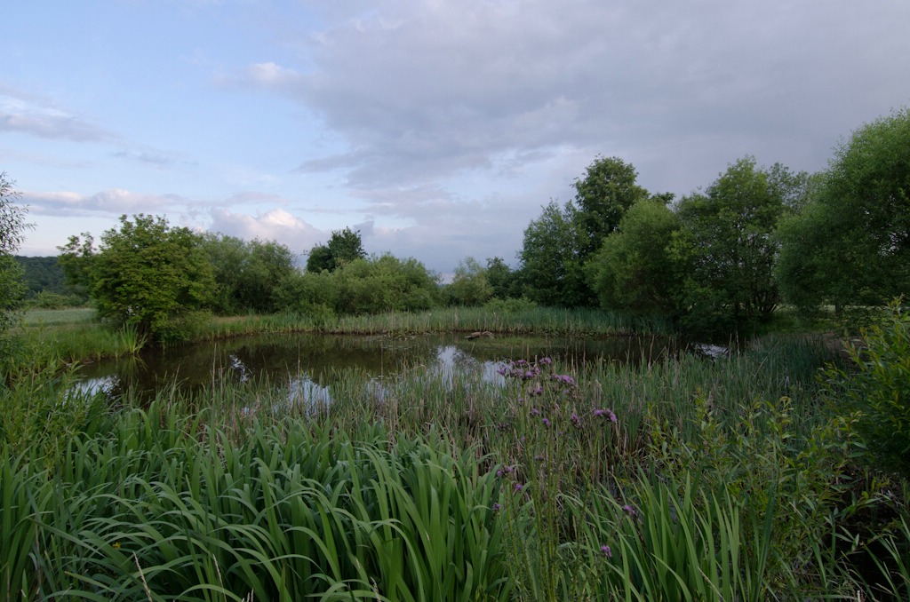 comp Natur 2013 001