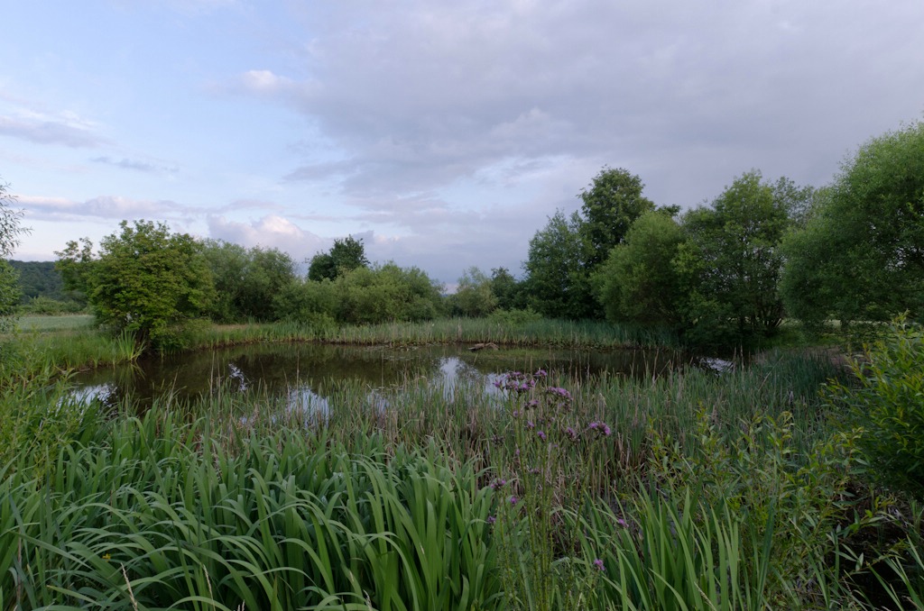 comp Natur 2013 003