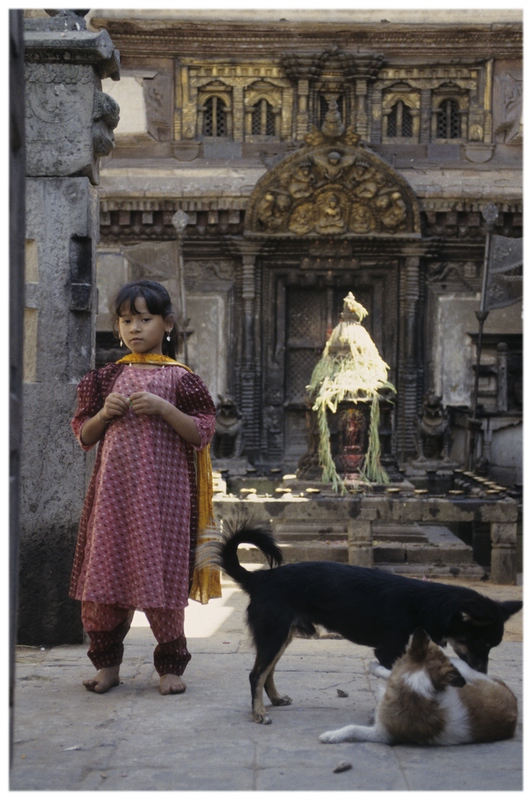 comp Nepal I 49 work