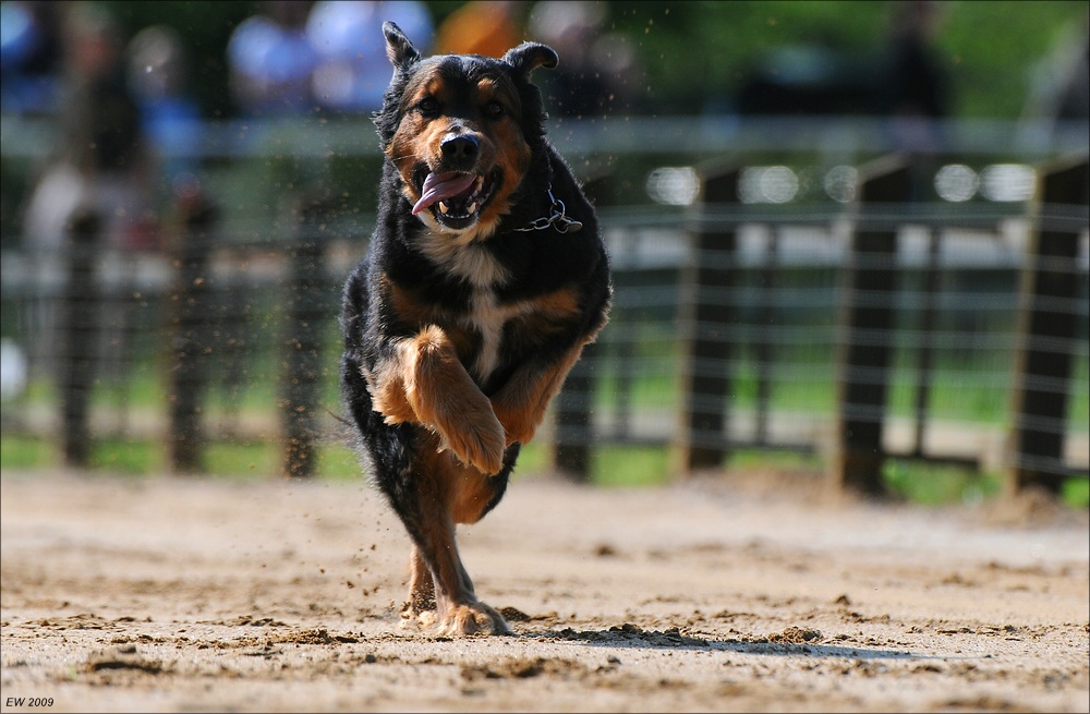 comp NWR Spaßrennen 0147