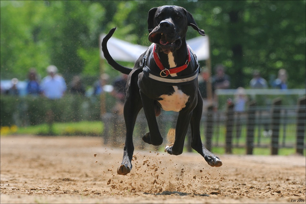 comp NWR Spaßrennen 1228