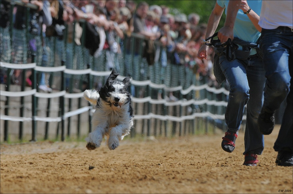 comp NWR Spaßrennen 2699