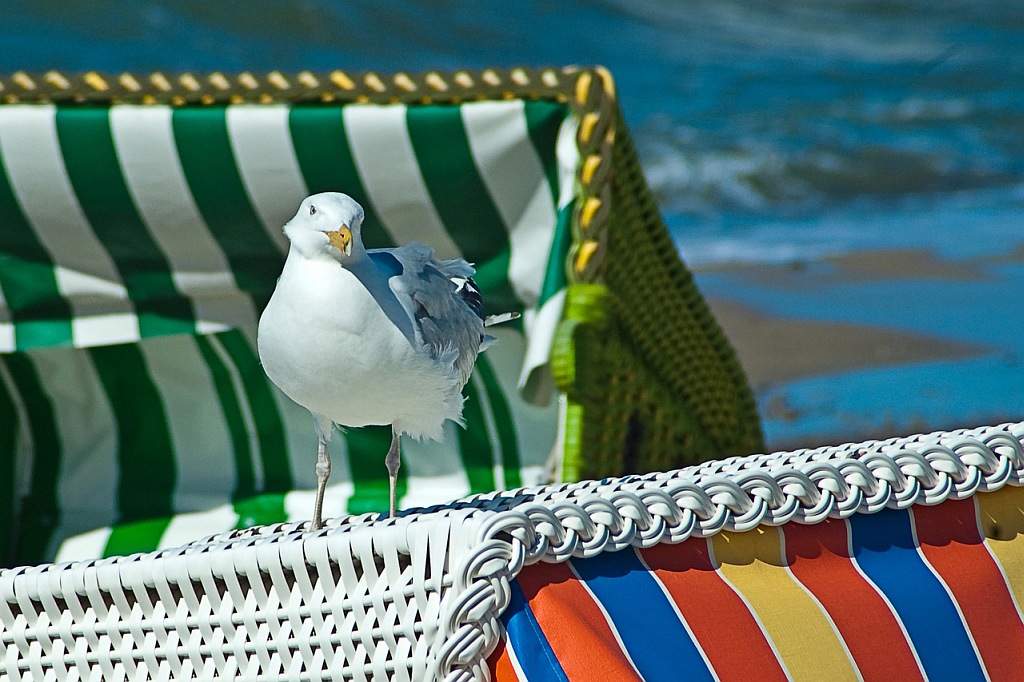 comp Ostseeimpression II