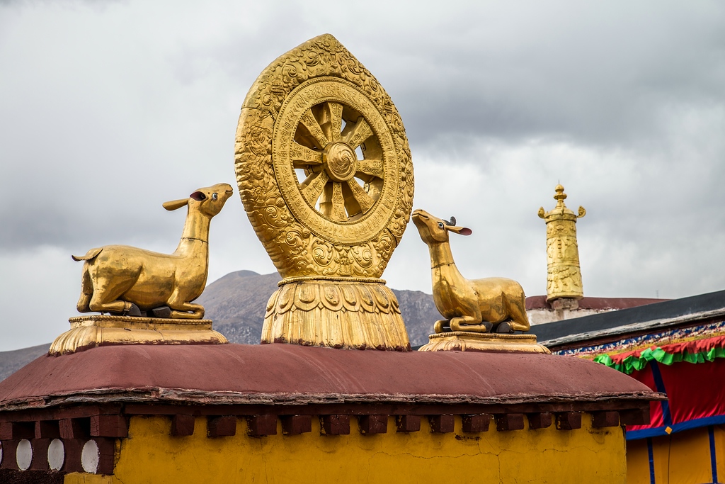 comp PD 45 File 005