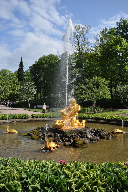 comp Peterhof
