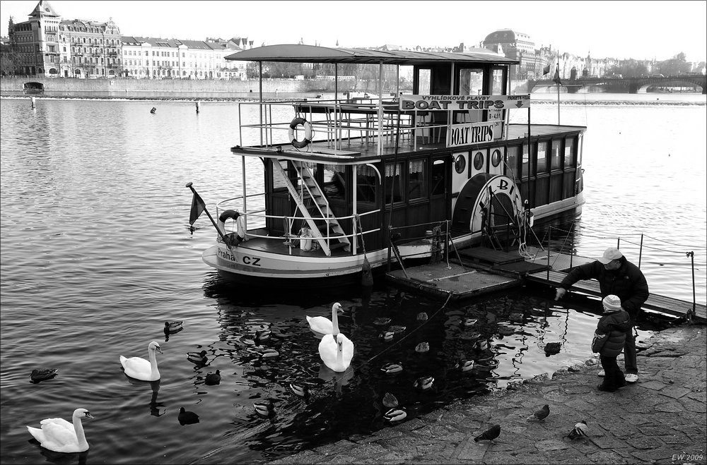 comp Prag 2009 0855