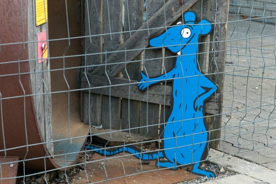 comp ratte