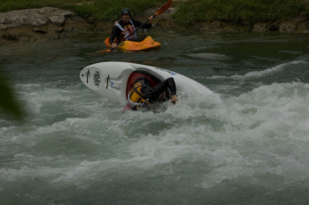comp Rhein1