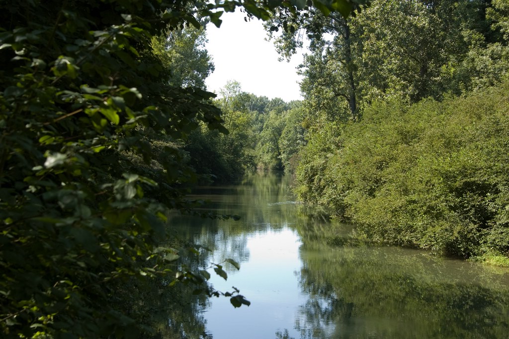 comp Rhein3