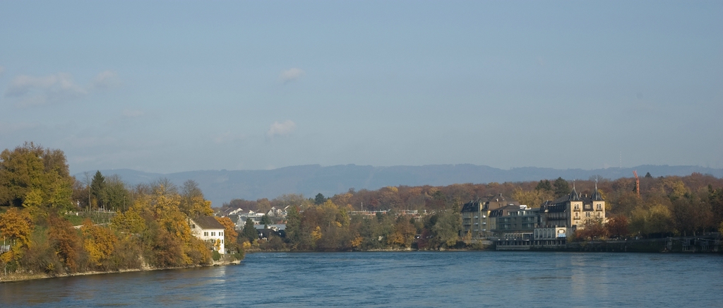comp Rhein6
