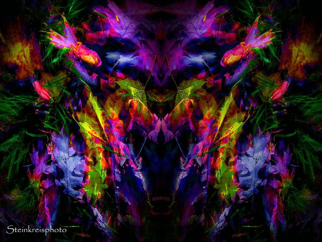 comp Rorschachtest   Bunte Blätter
