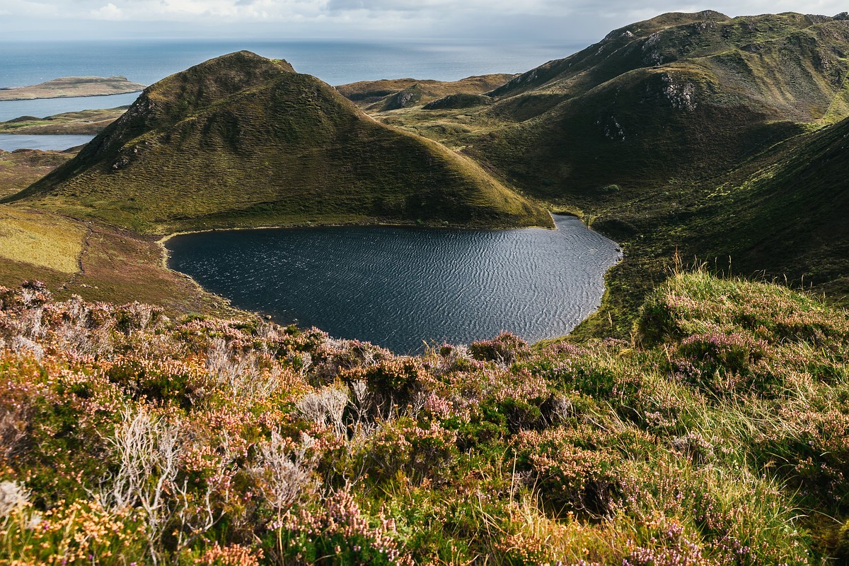 comp Schottland 2017     (119)
