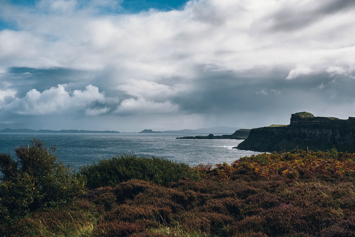 comp Schottland 2017     (127)