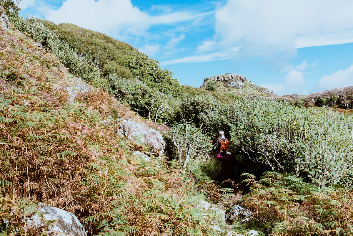 comp Schottland 2017     (20)
