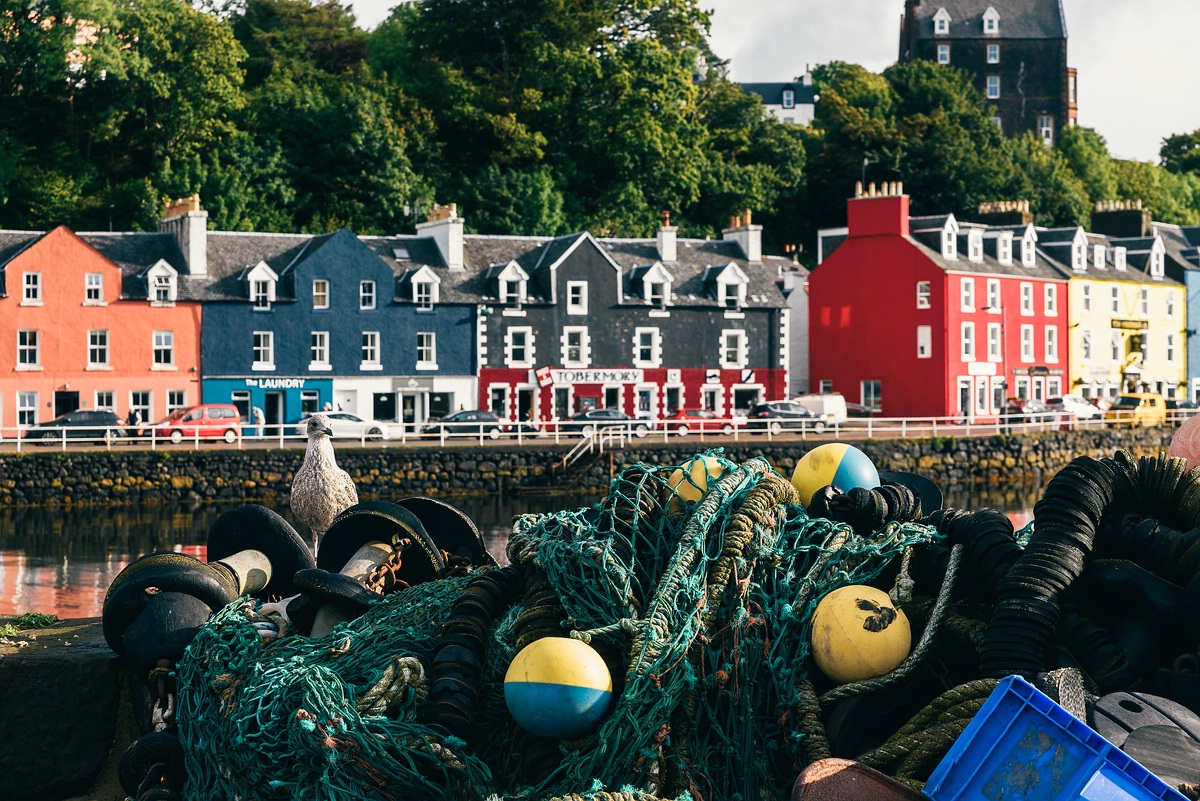 comp Schottland 2017     (47)