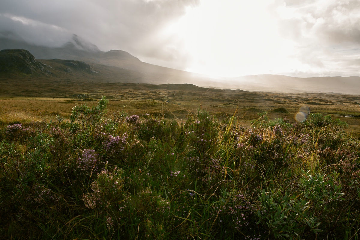 comp Schottland 2017     (70)