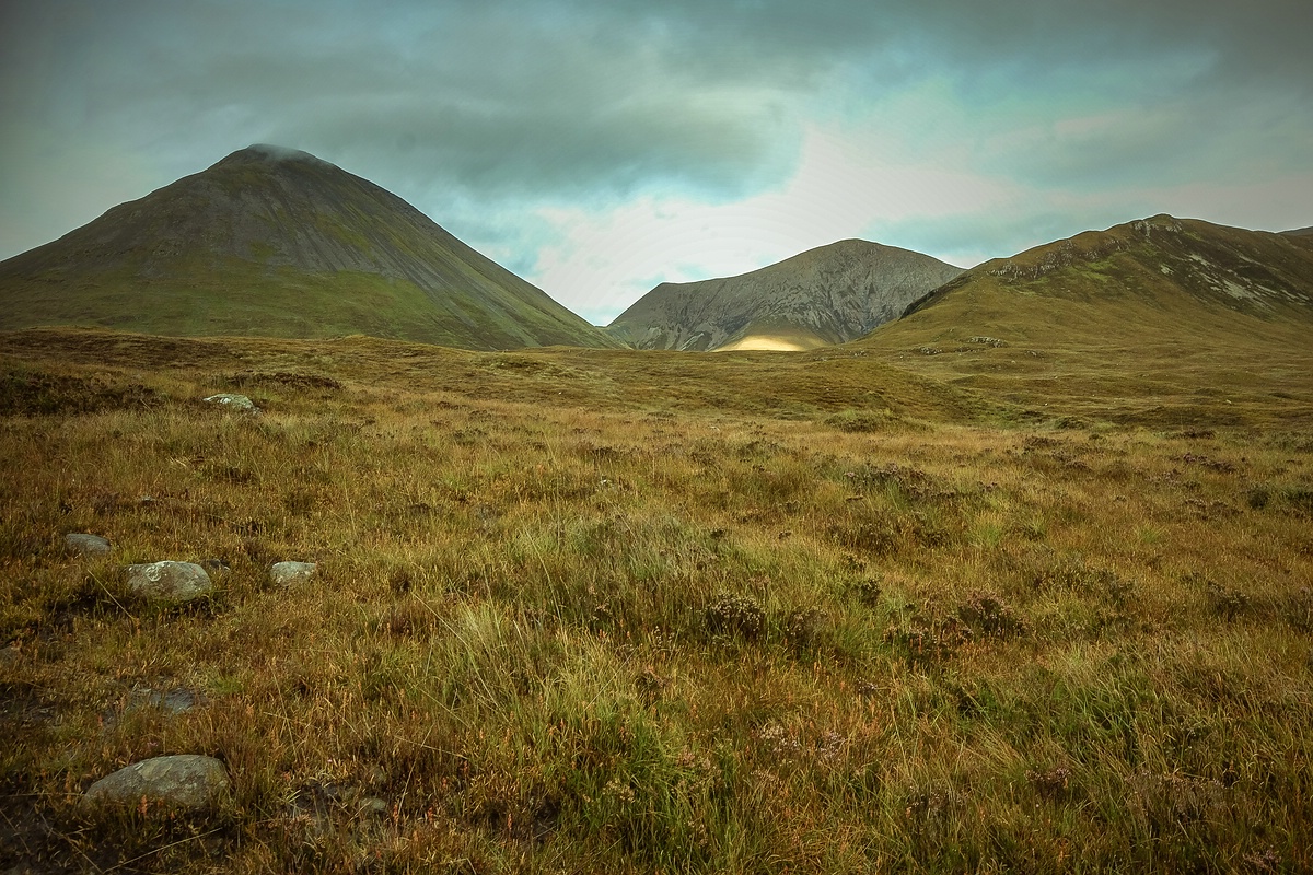 comp Schottland 2017     (78)