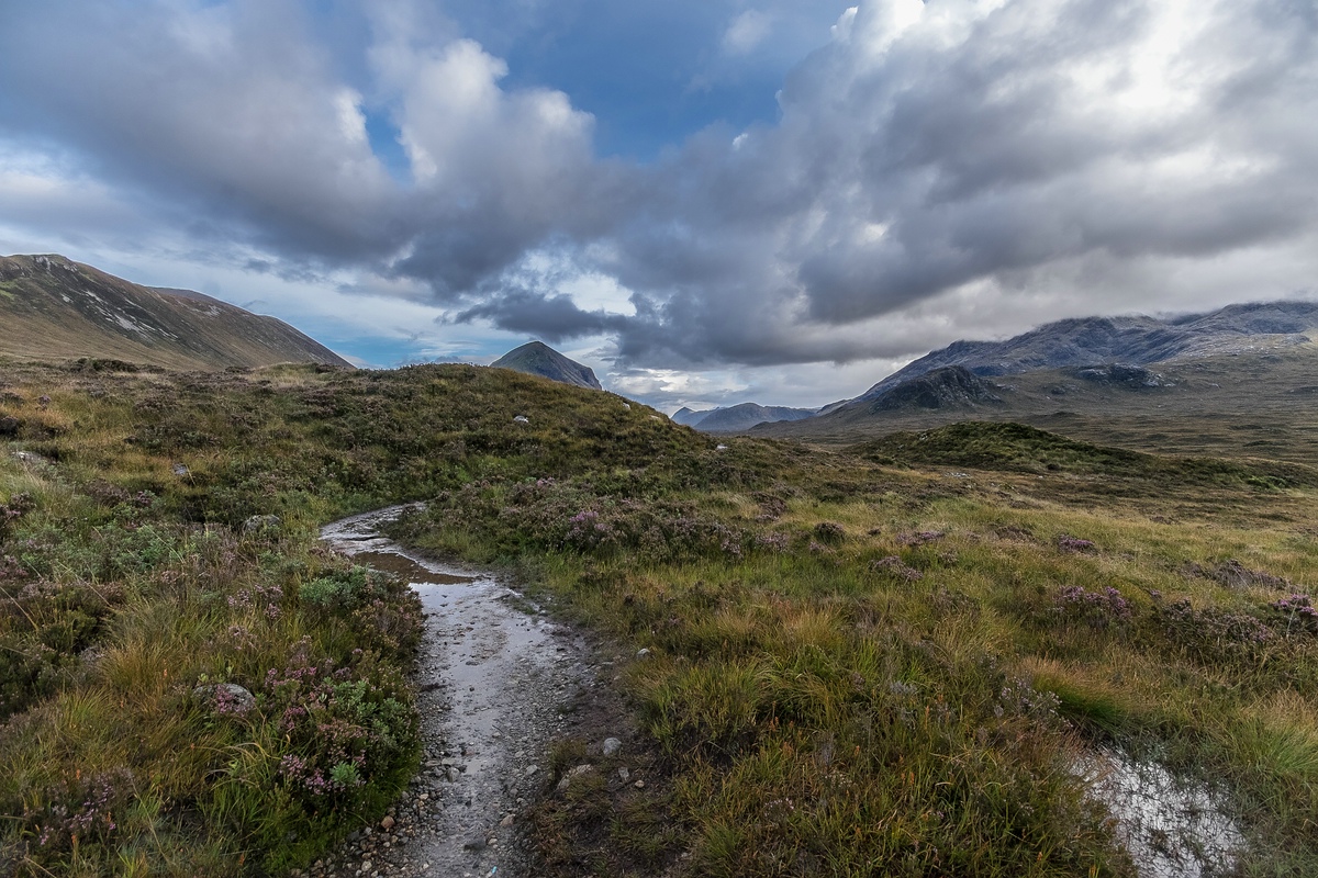comp Schottland 2017     (79)