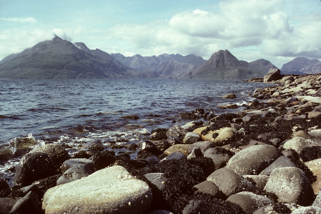 comp schottland87 167 nx2
