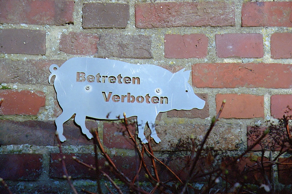 comp Schweinestall