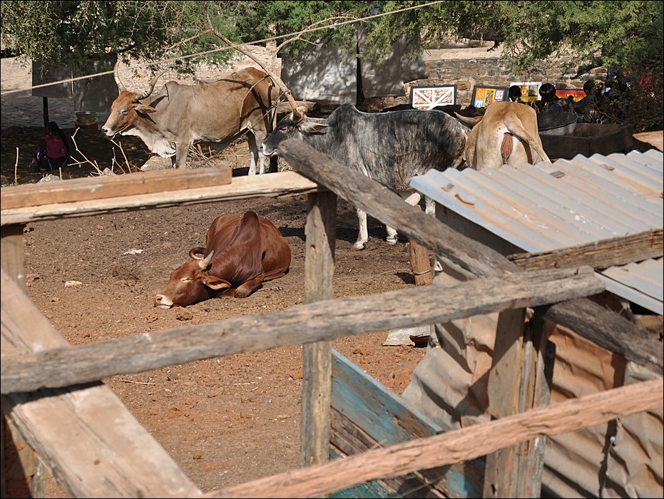 comp Senegal 3 282b