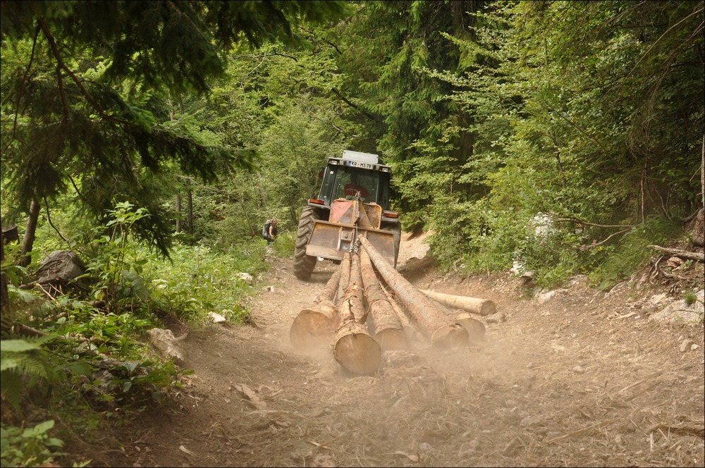 comp Slowenien3 160b
