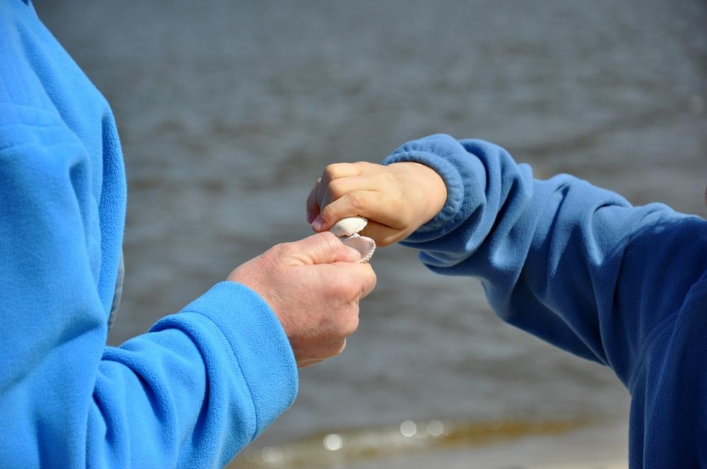 comp Sylt 013