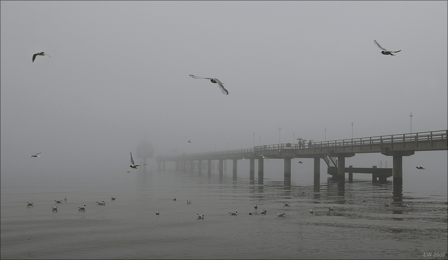 comp Usedom März 2009 3003