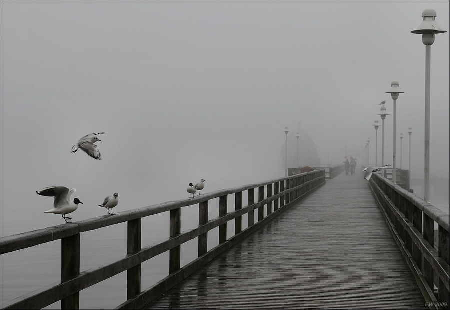 comp Usedom März 2009 3028
