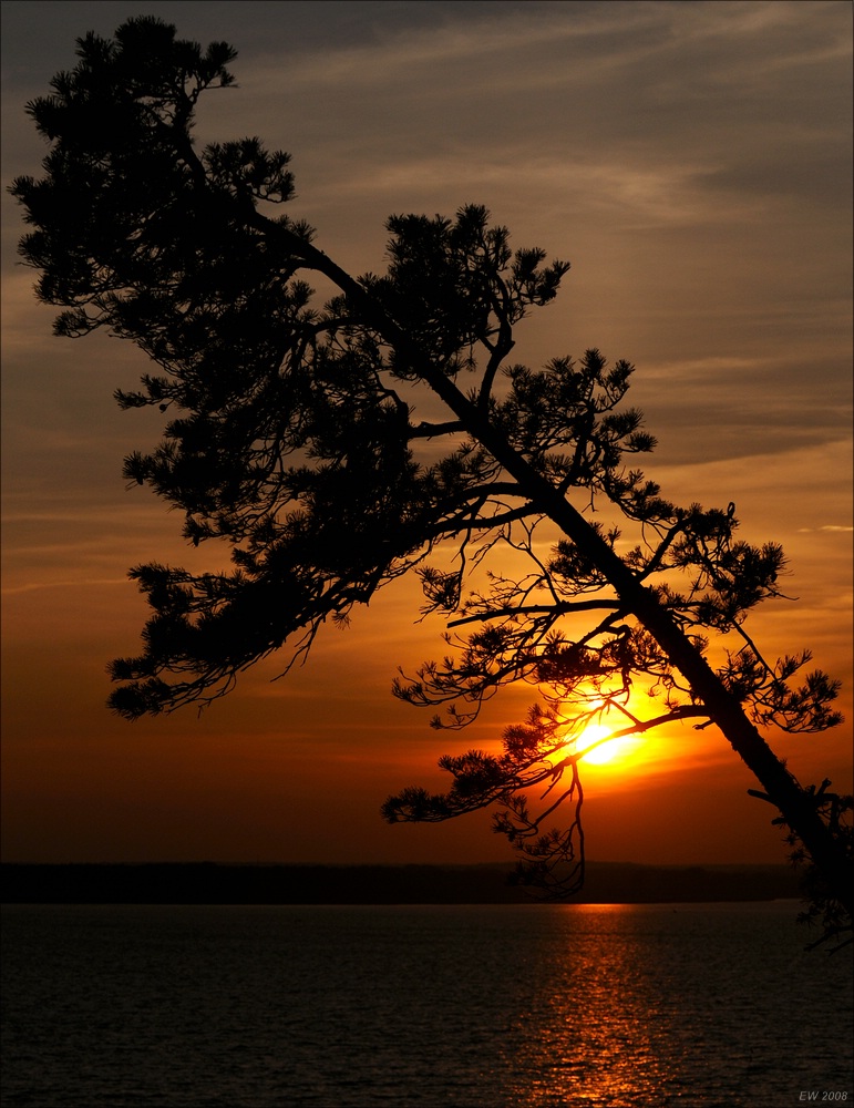 comp Usedom Okt 2592