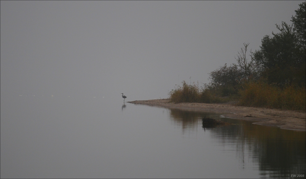 comp Usedom Okt7