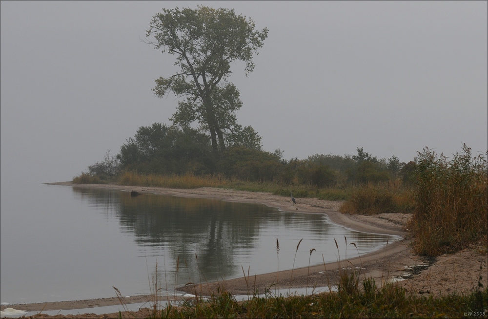 comp Usedom Okt8