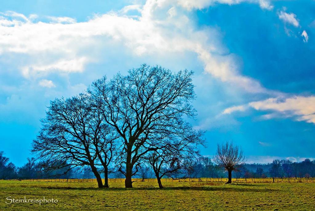 comp Vorfrühling 2