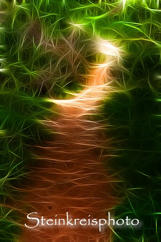 comp Weg ins Licht II