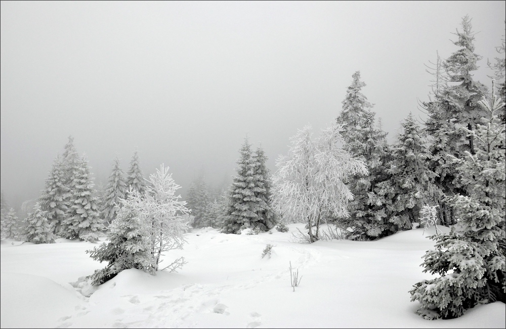 comp Winter im Harz