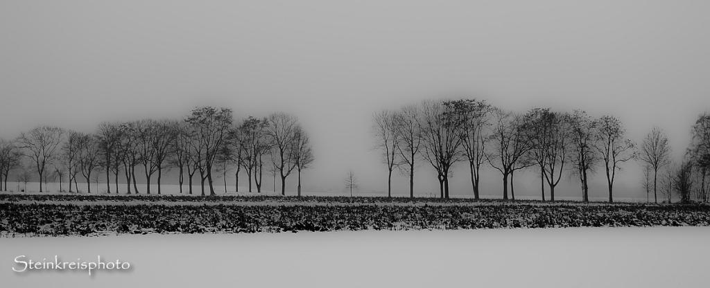 comp Winterallee sw