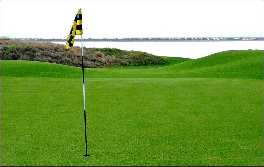 comp xgolf