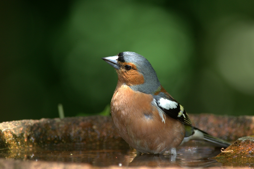 comp17
