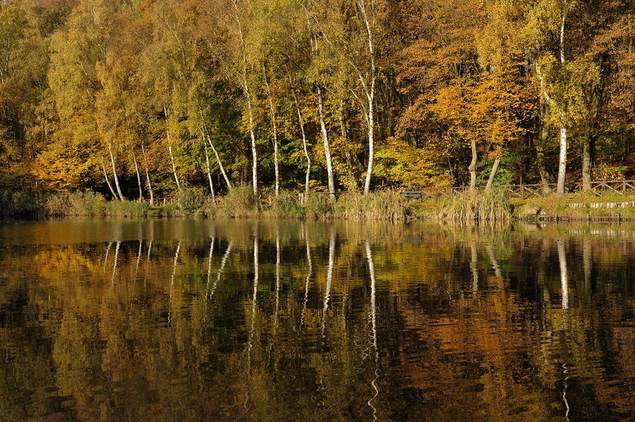 comp2 HerbstWVV 0041WVV 0041WVV 00410.0 eVNikon Her neu