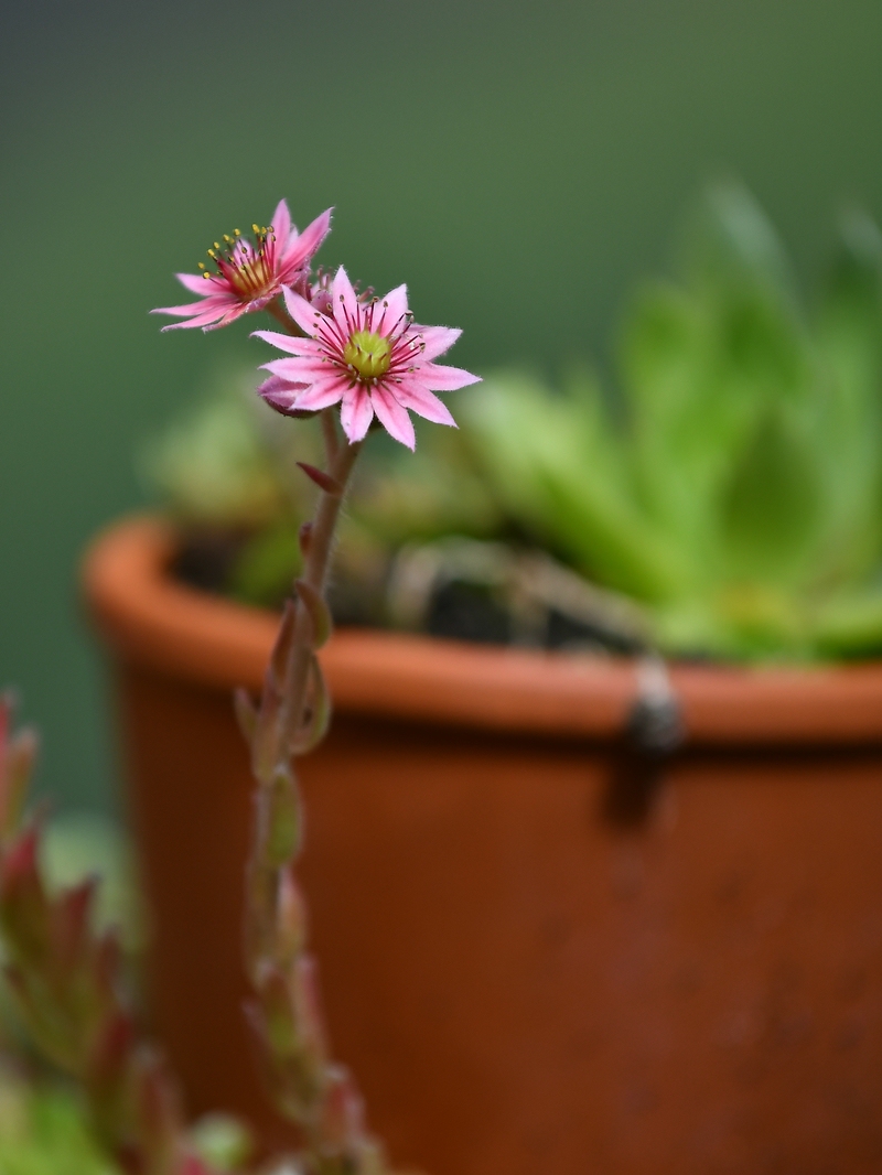 comp2.jpg