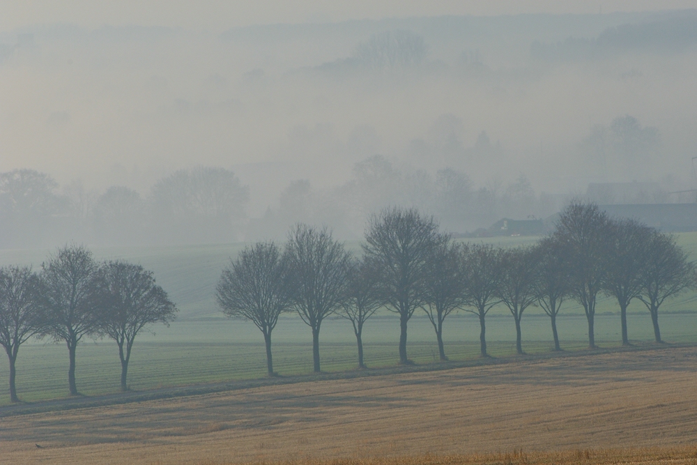 comp2Nebel 3213