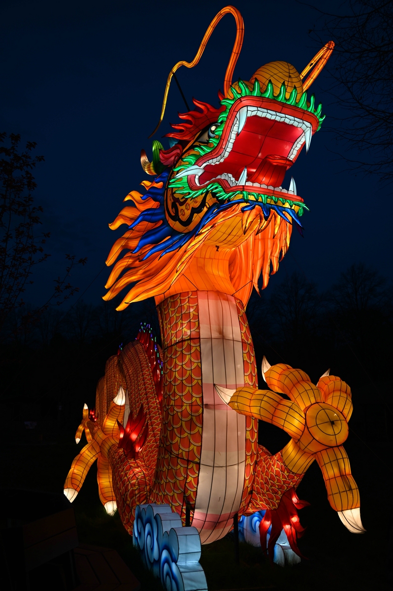 comp_001-Drache groß 1.jpg