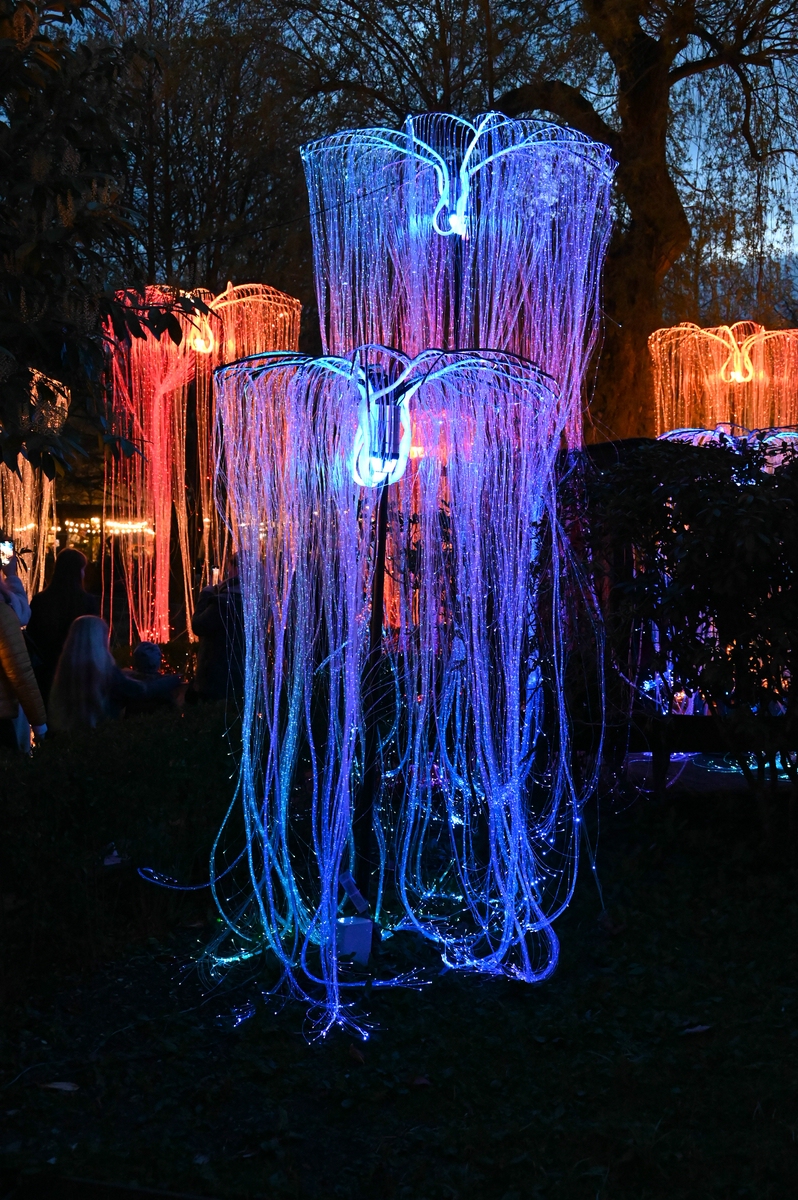comp_002-Lichtschleier.jpg